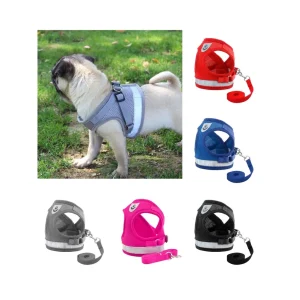peitoral-pug.webp